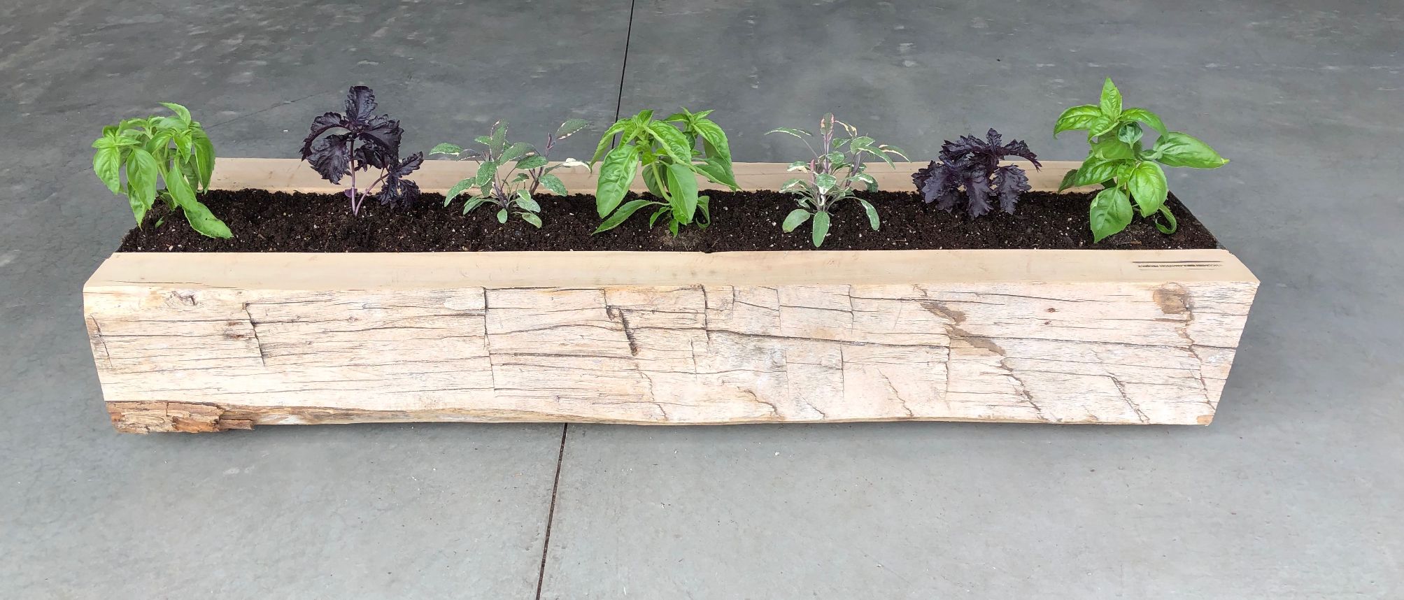 Reclaimed Wood Garden and Plants